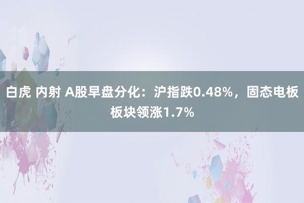 白虎 内射 A股早盘分化：沪指跌0.48%，固态电板板块领涨1.7%
