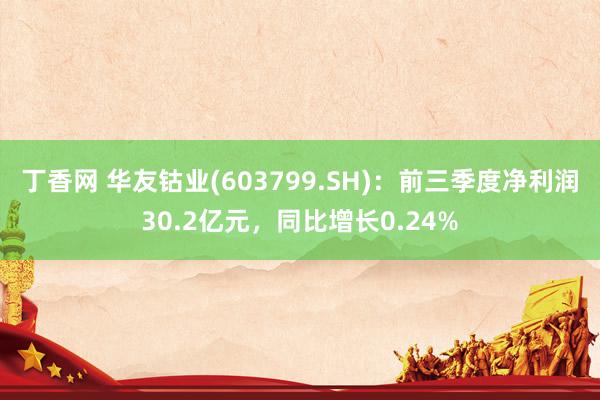 丁香网 华友钴业(603799.SH)：前三季度净利润30.2亿元，同比增长0.24%