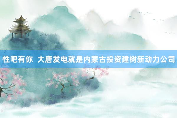 性吧有你  大唐发电就是内蒙古投资建树新动力公司