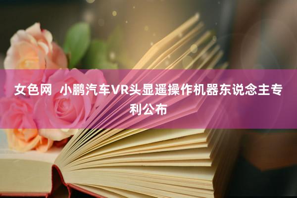 女色网  小鹏汽车VR头显遥操作机器东说念主专利公布