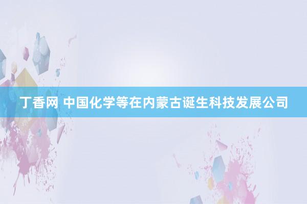 丁香网 中国化学等在内蒙古诞生科技发展公司