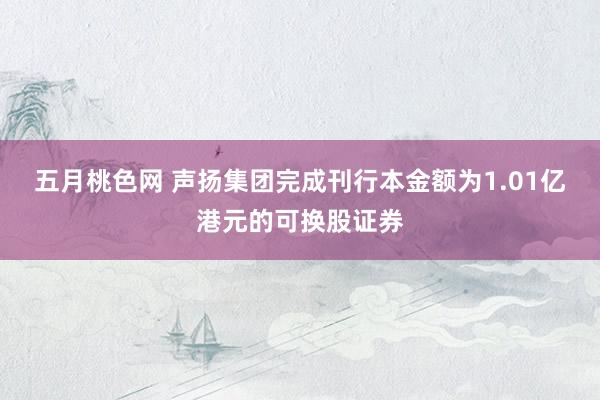 五月桃色网 声扬集团完成刊行本金额为1.01亿港元的可换股证券