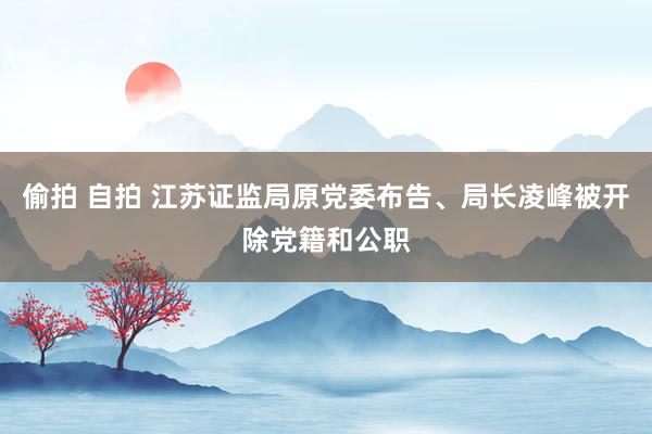 偷拍 自拍 江苏证监局原党委布告、局长凌峰被开除党籍和公职