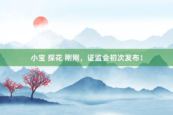 小宝 探花 刚刚，证监会初次发布！