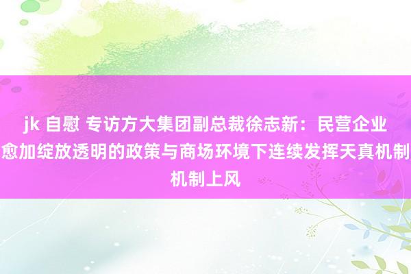 jk 自慰 专访方大集团副总裁徐志新：民营企业将在愈加绽放透明的政策与商场环境下连续发挥天真机制上风