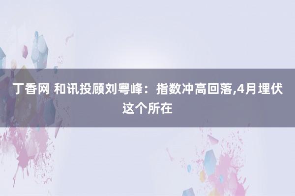 丁香网 和讯投顾刘粤峰：指数冲高回落，4月埋伏这个所在