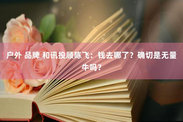 户外 品牌 和讯投顾陈飞：钱去哪了？确切是无量牛吗？